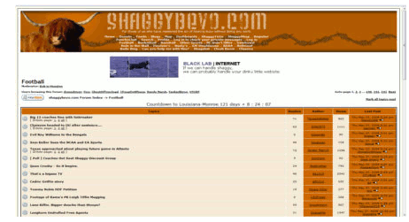 www.shaggybevo.com